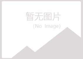 鹤岗兴山如柏咨询有限公司